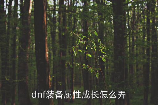dnf装备属性成长怎么弄