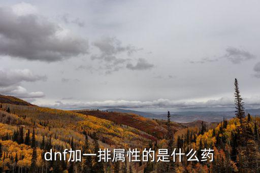 dnf加一排属性的是什么药