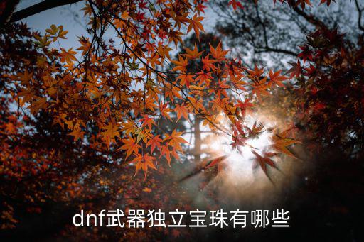 dnf地龙宝珠是什么属性，dnf武器独立宝珠有哪些