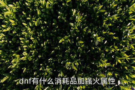 dnf有什么消耗品加强火属性