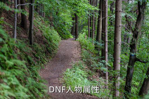 DNF人物属性