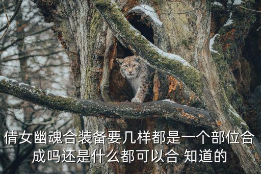 倩女幽魂合装备要几样都是一个部位合成吗还是什么都可以合 知道的