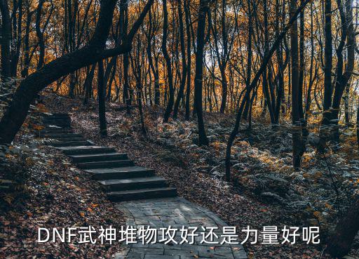 DNF武神堆物攻好还是力量好呢
