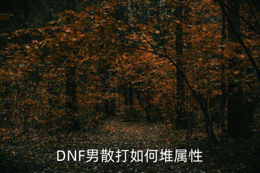 DNF男散打如何堆属性