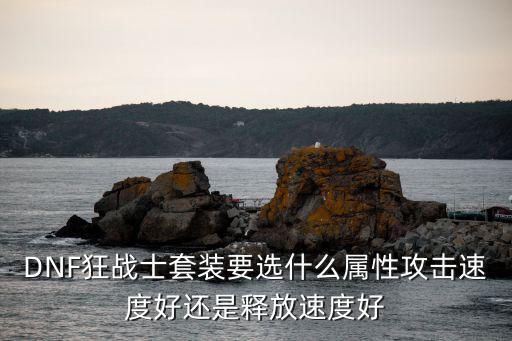 DNF狂战士套装要选什么属性攻击速度好还是释放速度好