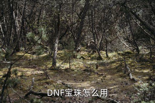 dnf属性宝珠什么用，dnf的宝珠有什么用