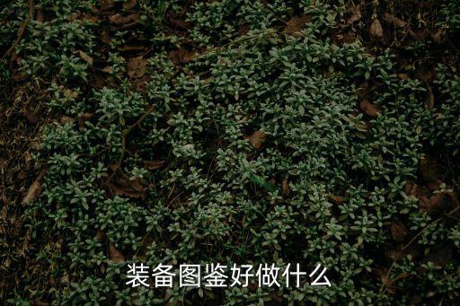 装备图鉴好做什么
