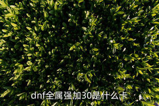 dnf全属强加30是什么卡