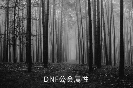 DNF公会属性