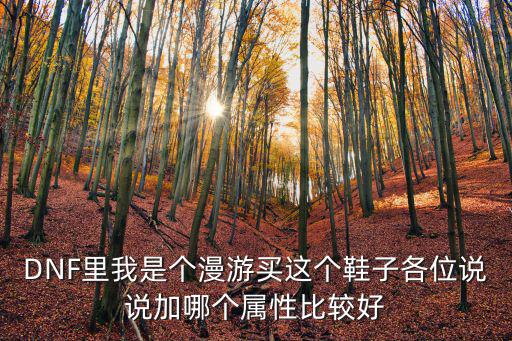 DNF里我是个漫游买这个鞋子各位说说加哪个属性比较好
