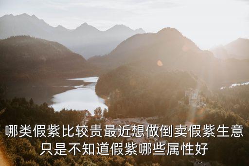 dnf假紫什么属性好卖，哪类假紫比较贵最近想做倒卖假紫生意只是不知道假紫哪些属性好