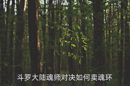 斗罗大陆游戏装备怎么卖，斗罗大陆游戏怎么交易