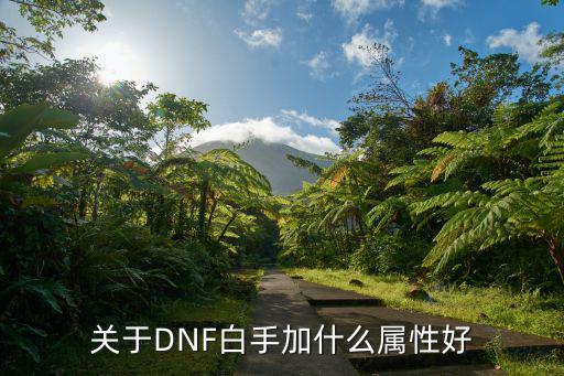 dnf白手武器选什么属性，关于DNF白手加什么属性好