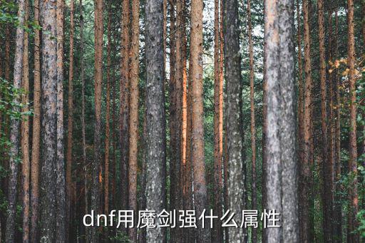 dnf用魔剑强什么属性