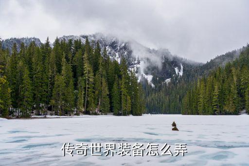 传奇世界游戏装备怎么做，传奇世界手游怎么打装备新手刷装备攻略是什么