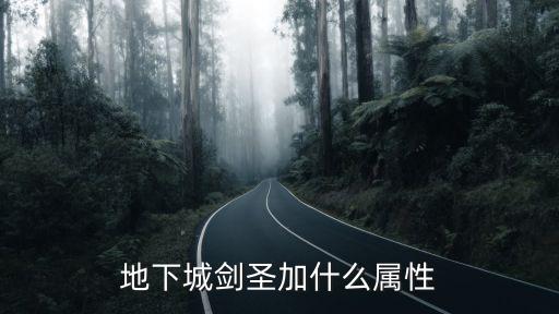 地下城剑圣加什么属性
