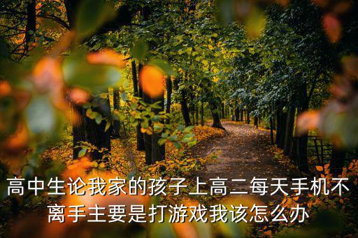 高中生论我家的孩子上高二每天手机不离手主要是打游戏我该怎么办