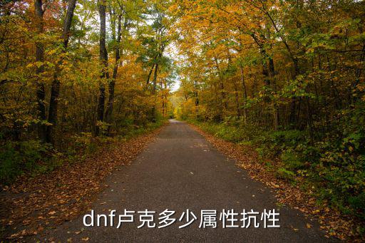 dnf卢克对什么属性，dnf卢克多少属性抗性