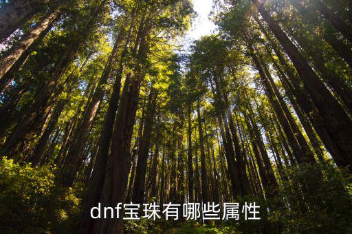 dnf宝珠有哪些属性