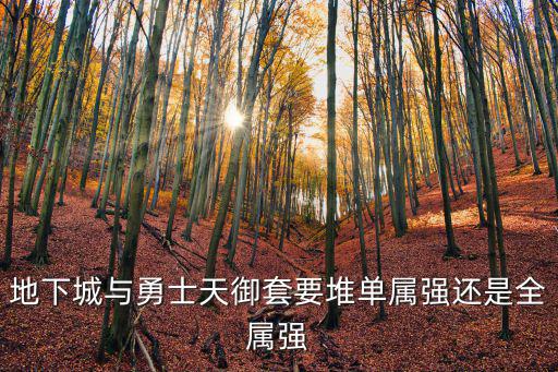 地下城与勇士天御套要堆单属强还是全属强