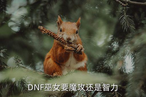 DNF巫女要魔攻还是智力