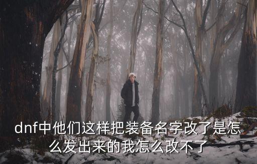 dnf中他们这样把装备名字改了是怎么发出来的我怎么改不了