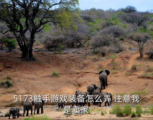 5173触手游戏装备怎么弄 注意我是卖家