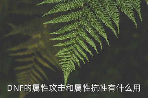 dnf属性攻击有什么好处，地下城属性攻击到底有什么效果不是伤害数是效果是感电灼伤