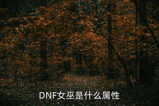 dnf巫女附魔什么属性，DNF附魔属性