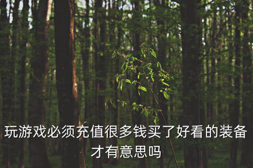 玩游戏必须充值很多钱买了好看的装备才有意思吗