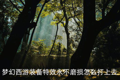 游戏装备套装特效怎么做，梦幻西游怎么才能让装备得到套装效果