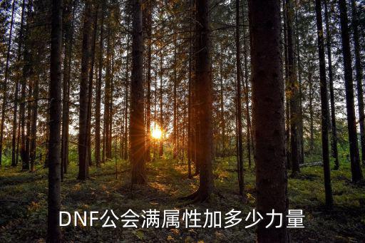 dnf工会满属性是什么，DNF公会满属性加多少力量