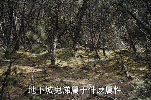 dnf鬼泣红字选什么属性，网络游戏DNF鬼泣的属性