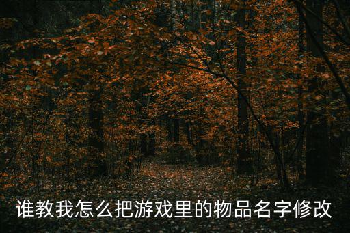 奇幻游戏装备名称怎么改，谁教我怎么把游戏里的物品名字修改