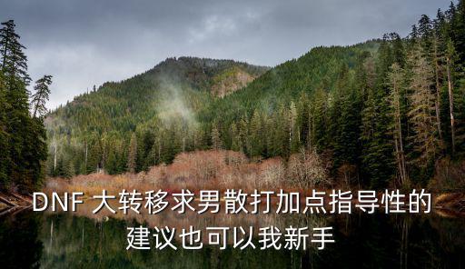 dnf男散要什么属性，DNF 大转移求男散打加点指导性的建议也可以我新手