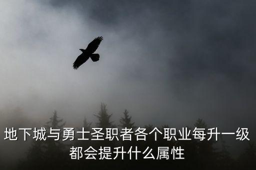 地下城与勇士圣职者各个职业每升一级都会提升什么属性