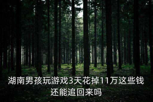 湖南男孩玩游戏3天花掉11万这些钱还能追回来吗