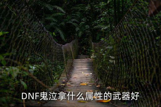 DNF鬼泣拿什么属性的武器好