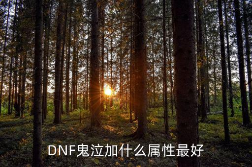 dnf鬼泣需要加什么属性，DNF鬼泣应该加什么属性