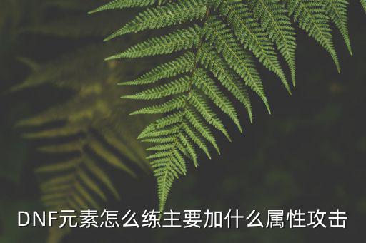 DNF元素怎么练主要加什么属性攻击