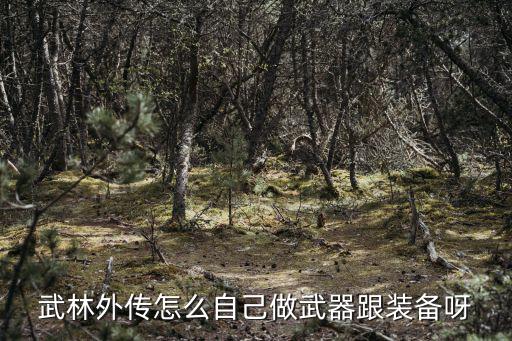 武林外传怎么自己做武器跟装备呀