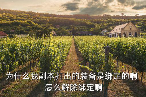 为什么我副本打出的装备是绑定的啊  怎么解除绑定啊