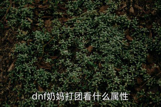 dnf奶妈伤害吃什么属性，dnf奶妈打团看什么属性