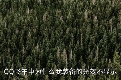 游戏装备没光效怎么弄，为什么显示不出光效
