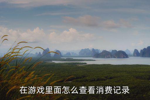 在游戏里面怎么查看消费记录