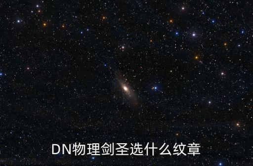 DN物理剑圣选什么纹章