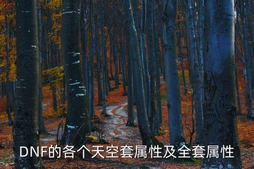 dnf女装套b什么属性，DNF女柔道时装选什么属性