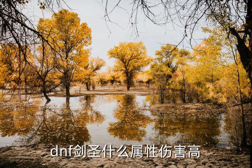 dnf剑圣什么属性伤害高