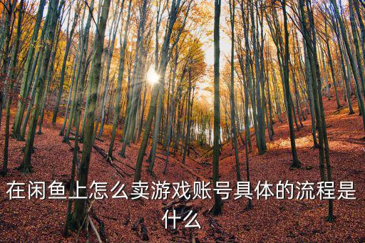在闲鱼上怎么卖游戏账号具体的流程是什么