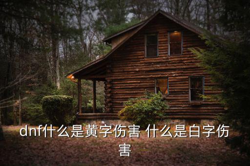 dnf什么是黄字伤害 什么是白字伤害
